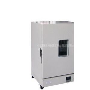 【功率自然對流烘箱】功率自然對流烘箱價格_功率自然對流烘箱報價 - 中國供應(yīng)商