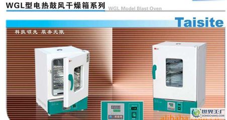 出口型鼓風(fēng)干燥箱、WGL-30B烘箱、精密恒溫干燥箱_鼓風(fēng)干燥箱 _世界工廠網(wǎng)